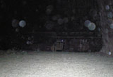 Windsor Ghost Tour